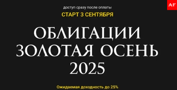 Инвестиции в облигации: стратегии доходности и рейтинг инструментов